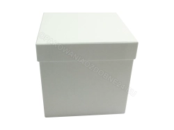 białe pudełko na kwiaty flower box