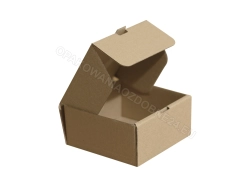 Karton do paczkomatu 100x100x50 mm