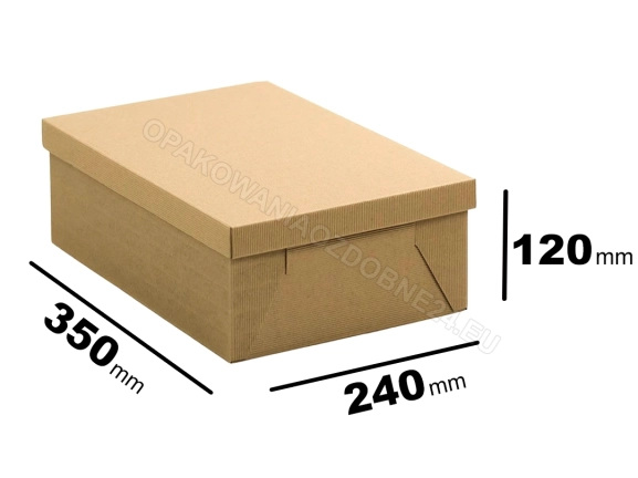 Karton wysyłkowy 350x240x120 mm karbowany