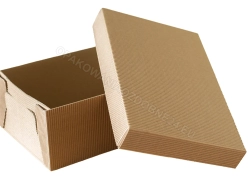 Karton wysyłkowy 350x240x120 mm karbowany kraft otwarty